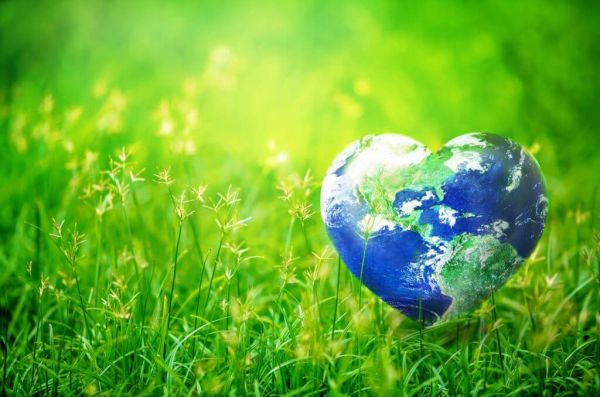 На 22 април отбелязваме Деня на Земята под мотото „Действия срещу изменението на климата“ – ето какво може да направи всеки от нас днес!